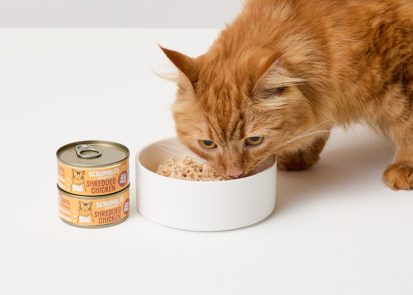 cat eating scrumbles cat food