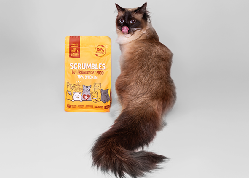 cat with scrumbles food